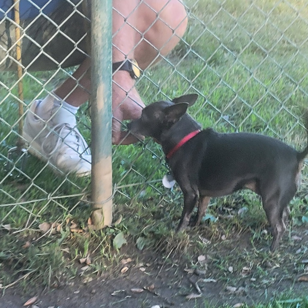 Mavis, photo 6