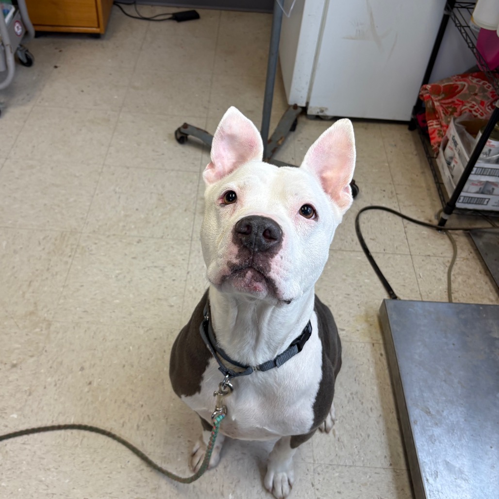 Coleslaw — thumbnail 4