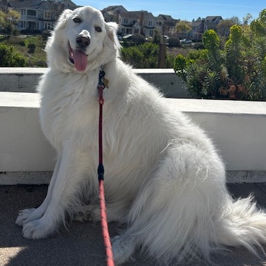 GRAND MOLLY, photo 4