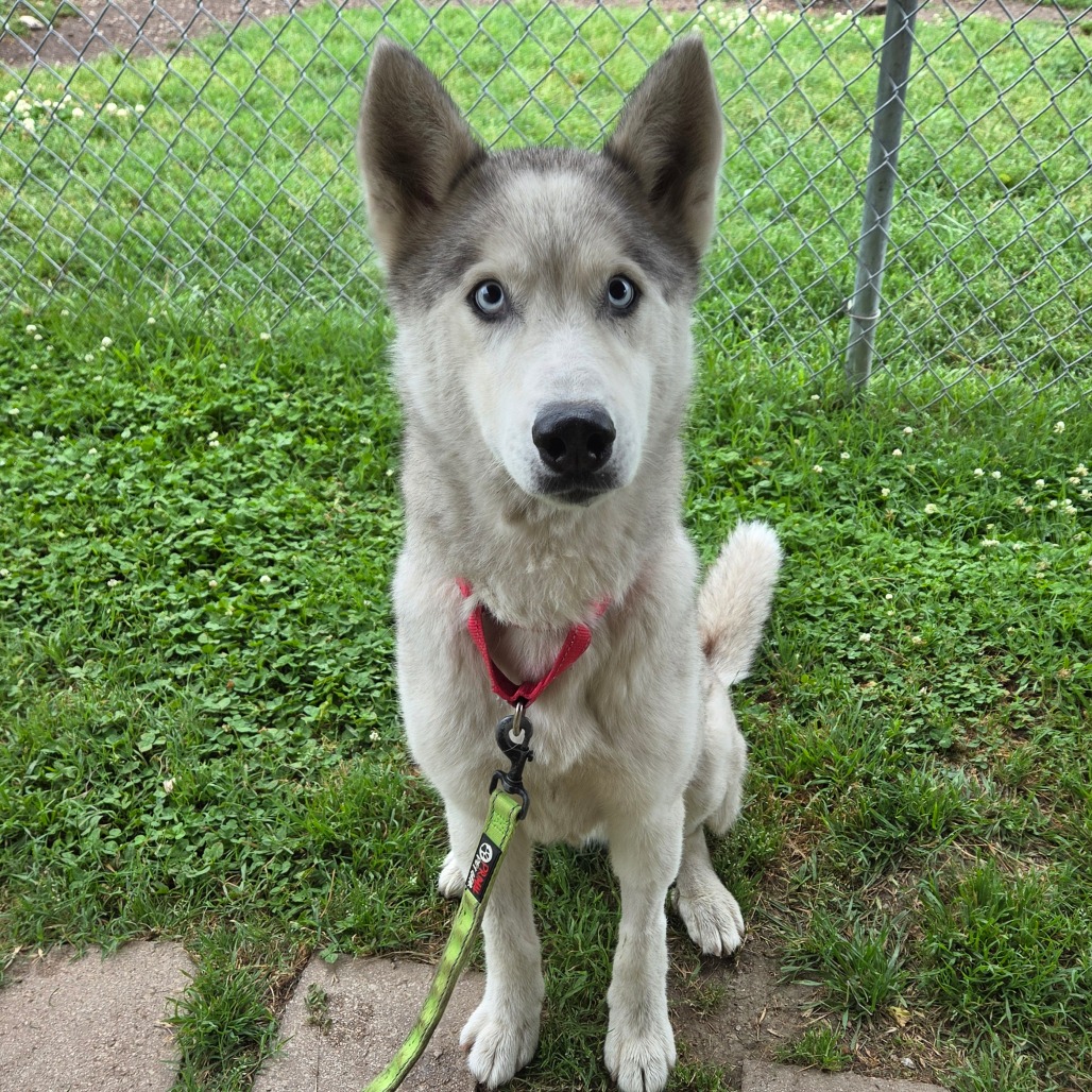 Casper photo 3