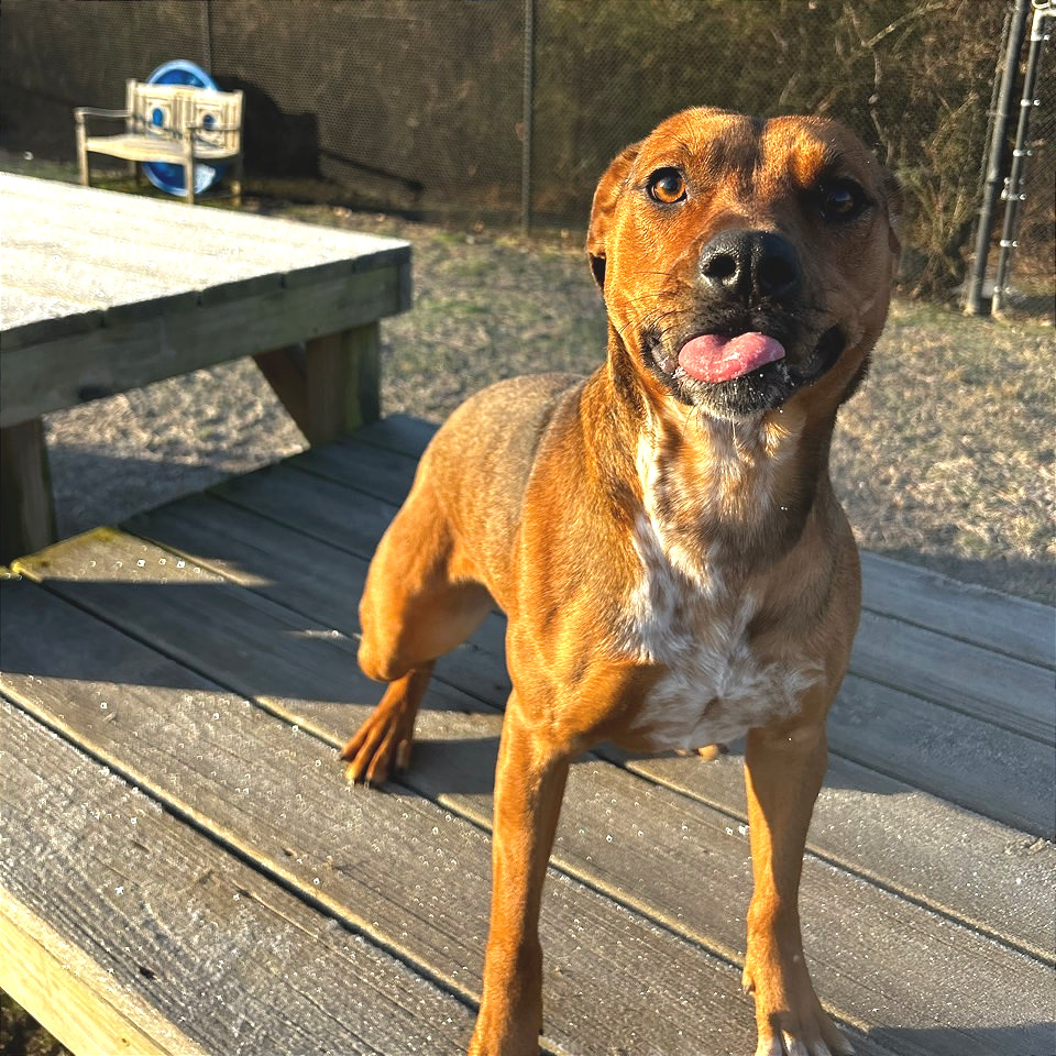 Chani — thumbnail 10