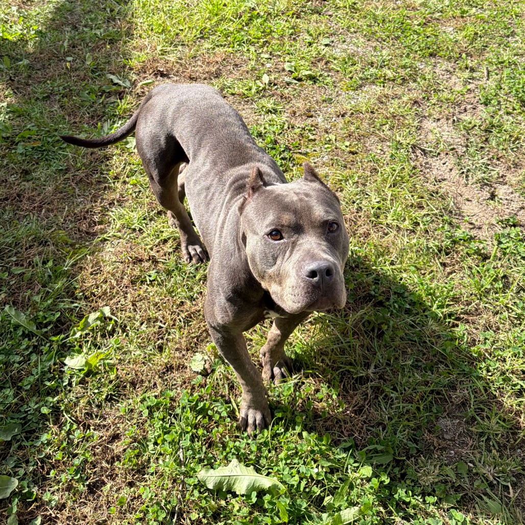 Rhonda, photo 7