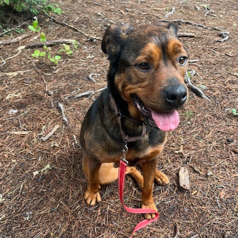 Cutie Pie — thumbnail 3