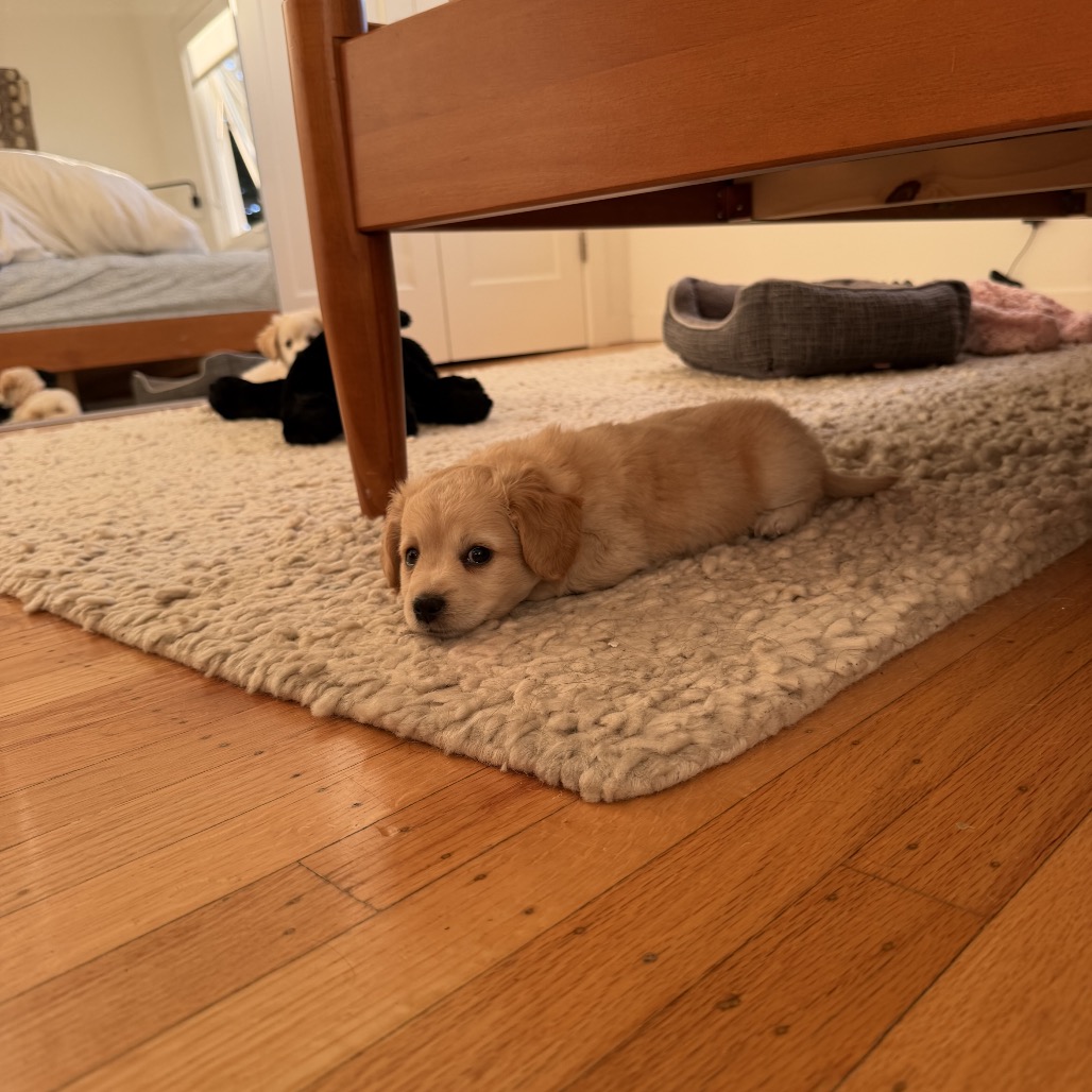 PRESLEY, photo 10