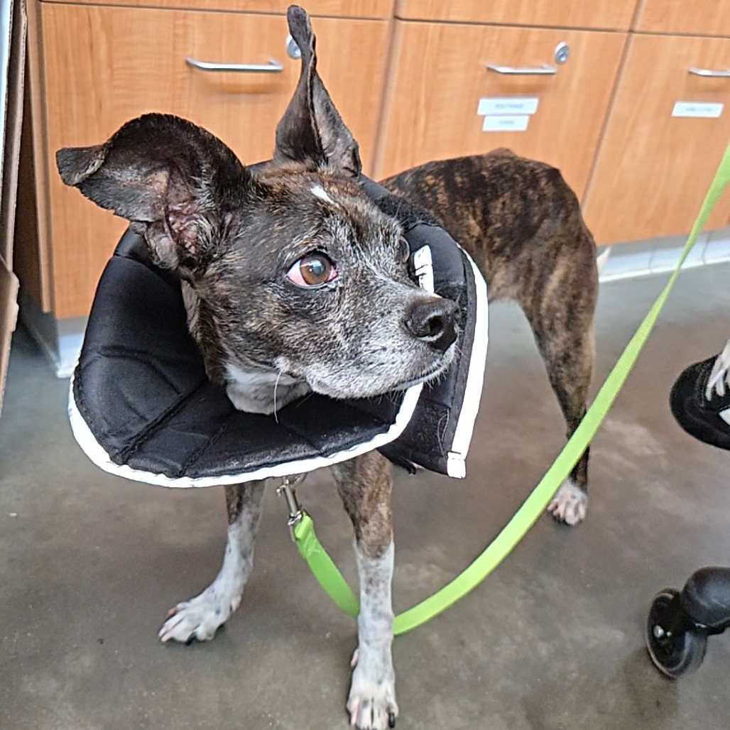 Photo of Ethel 3