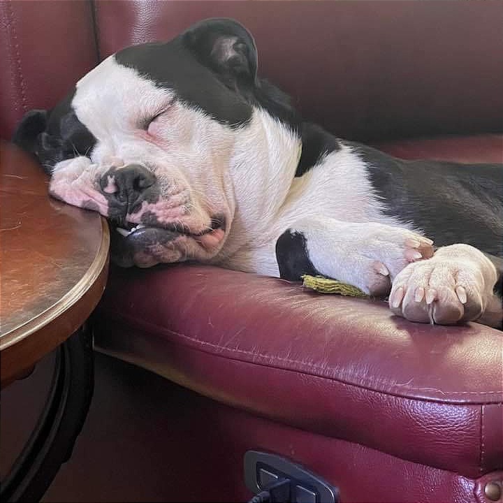 Photo of Ben