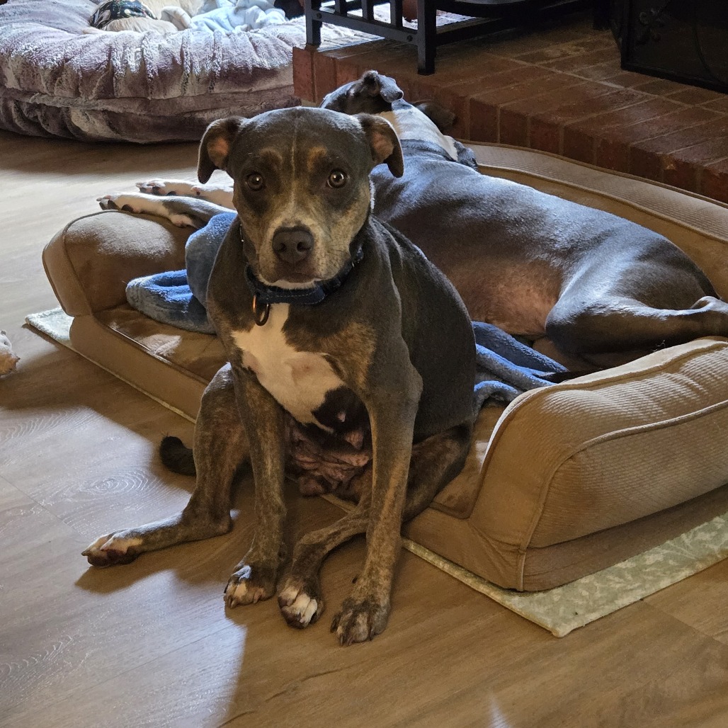 Zoe, photo 4