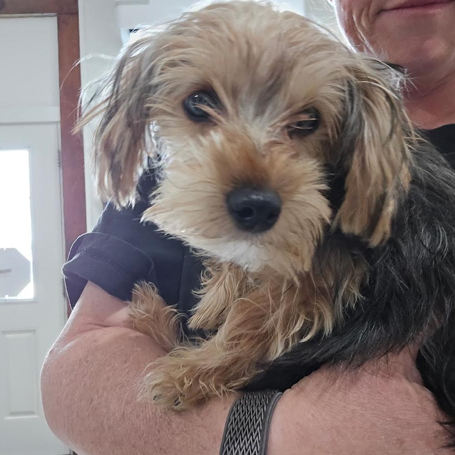 Tucker — thumbnail 3