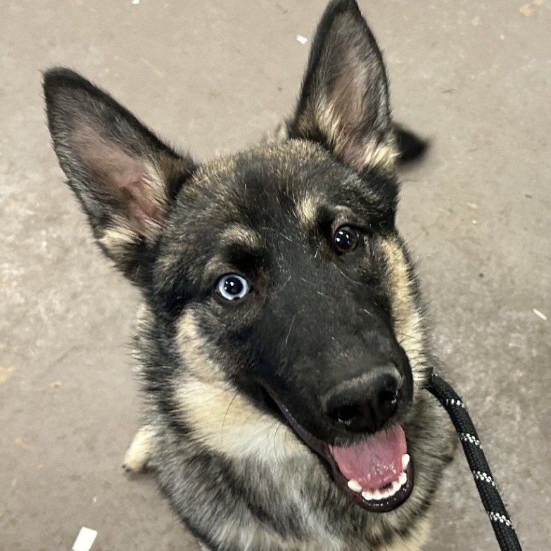 Natori — thumbnail 2