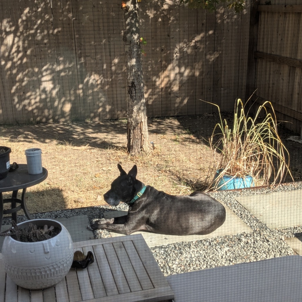 Zeus, additional photo