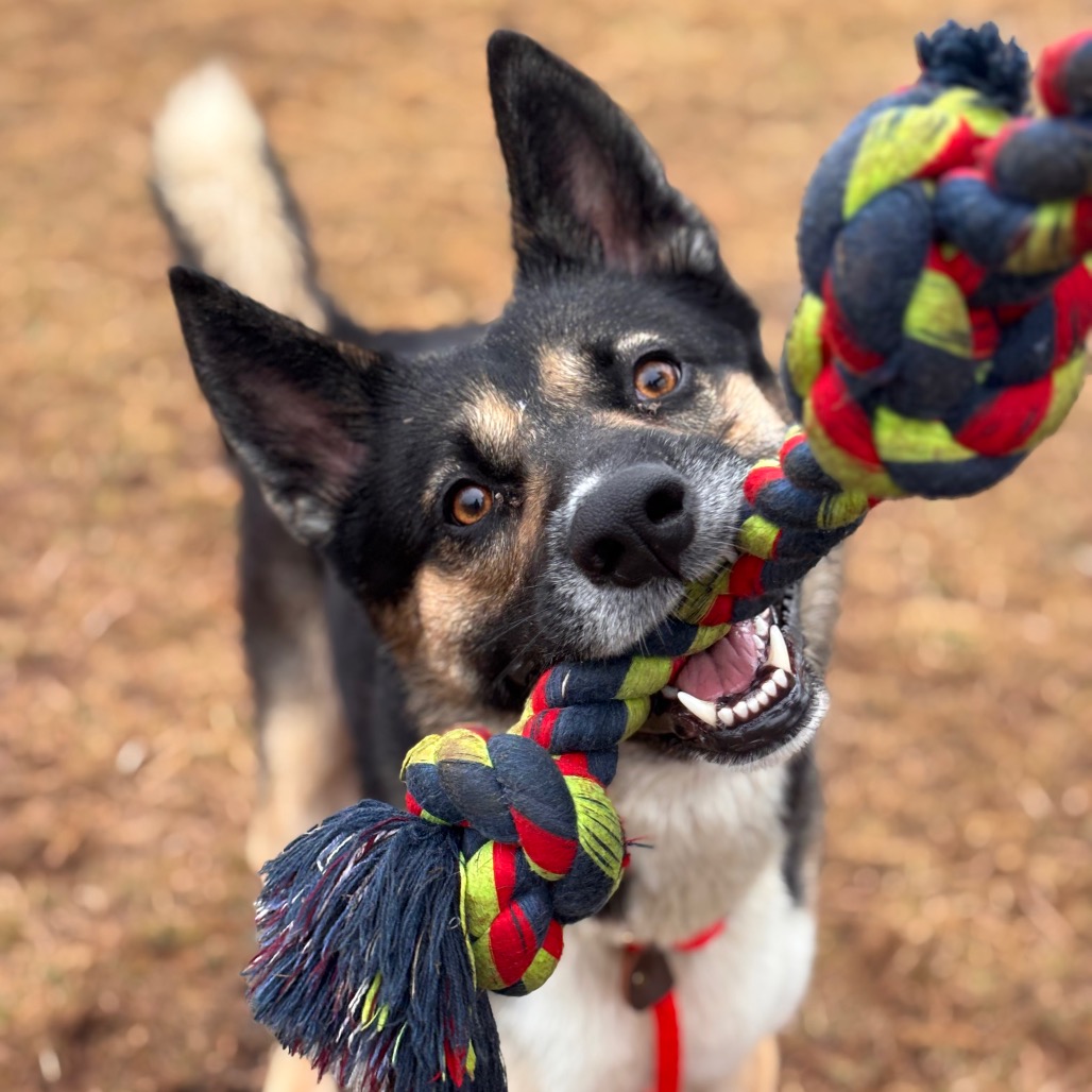 065c10c25c1af1cdb9b6275852a3bb52