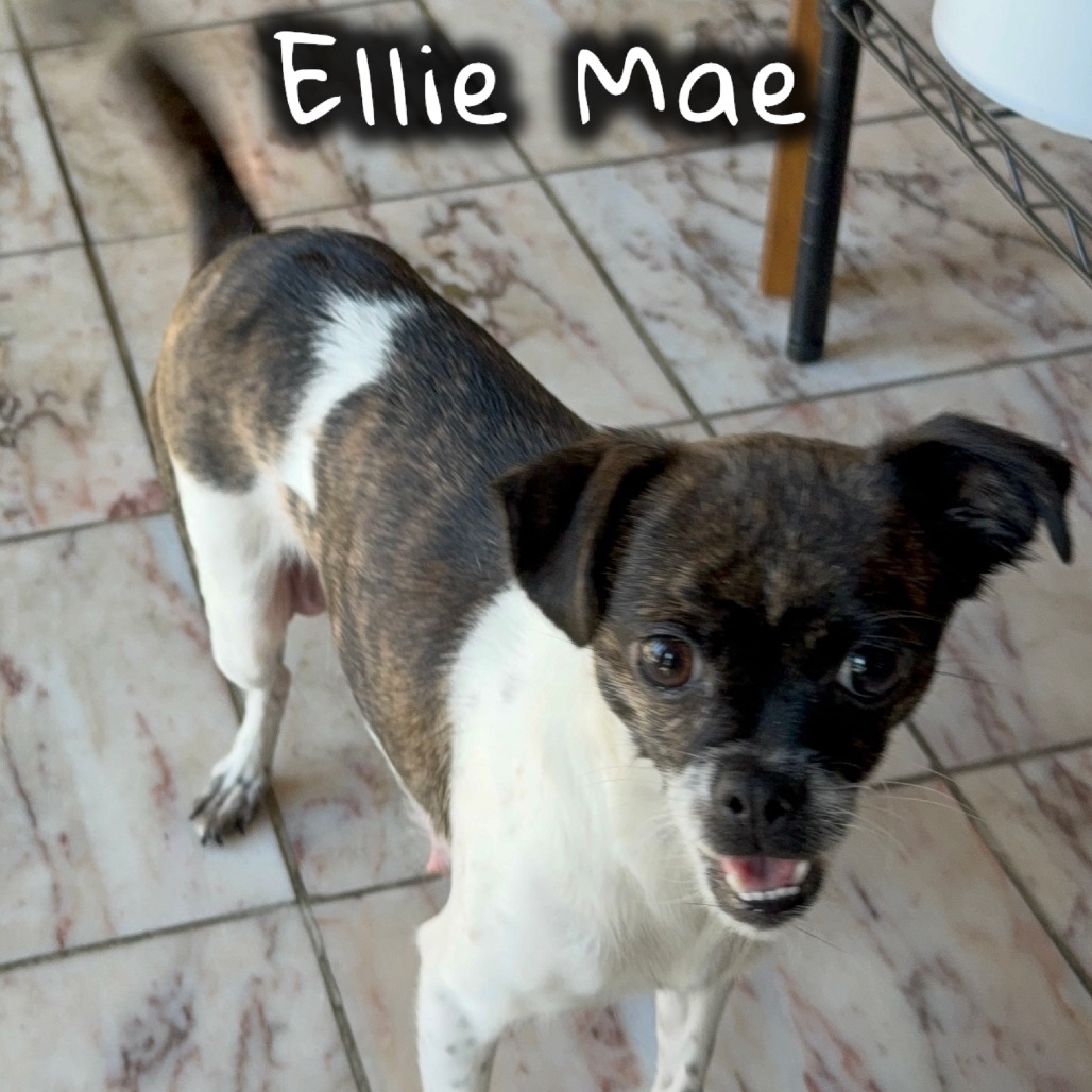 ELLIE MAY, photo 10