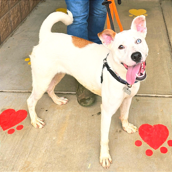 Little Lady — thumbnail 9