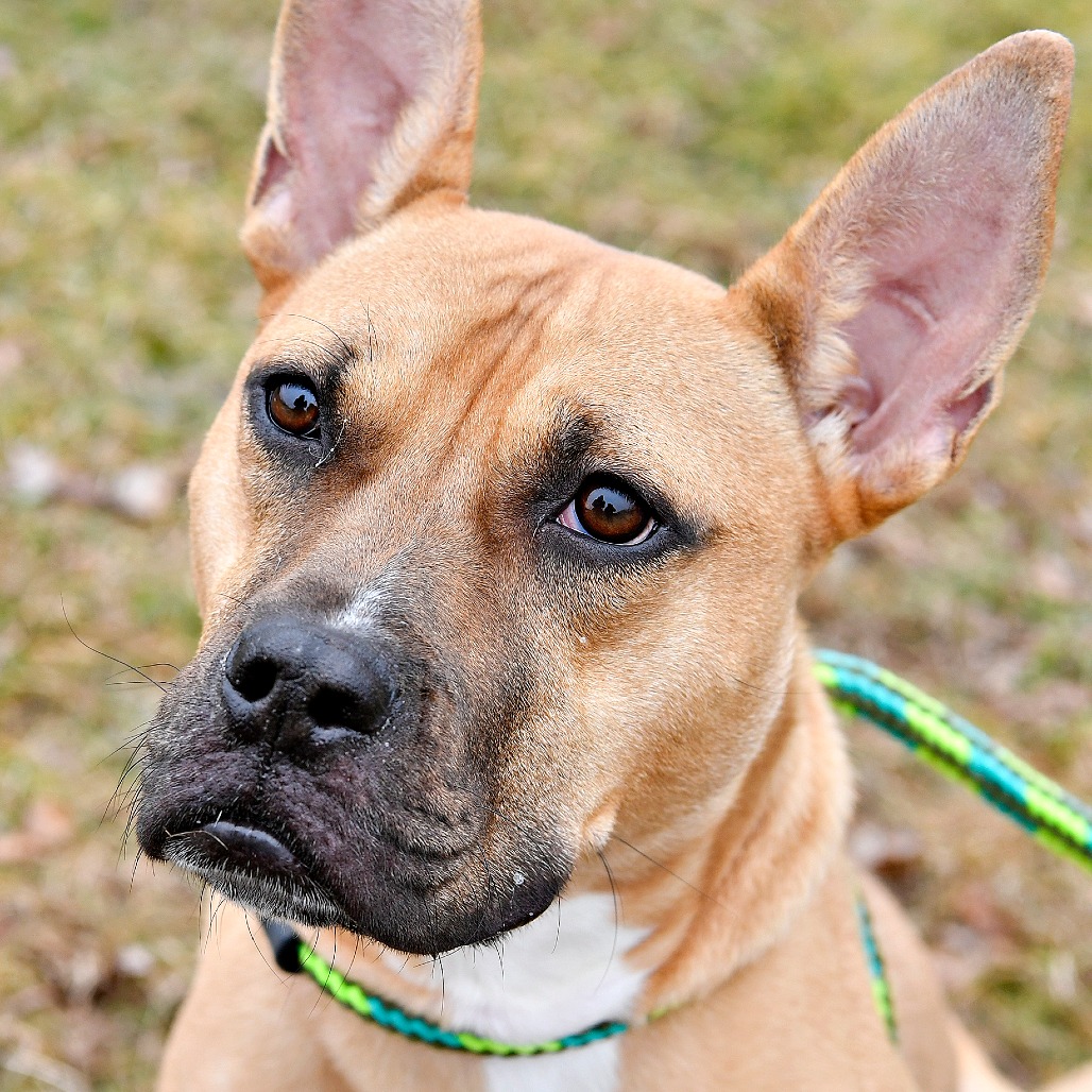 8e0e22fe5866ed666af10dd58e964253