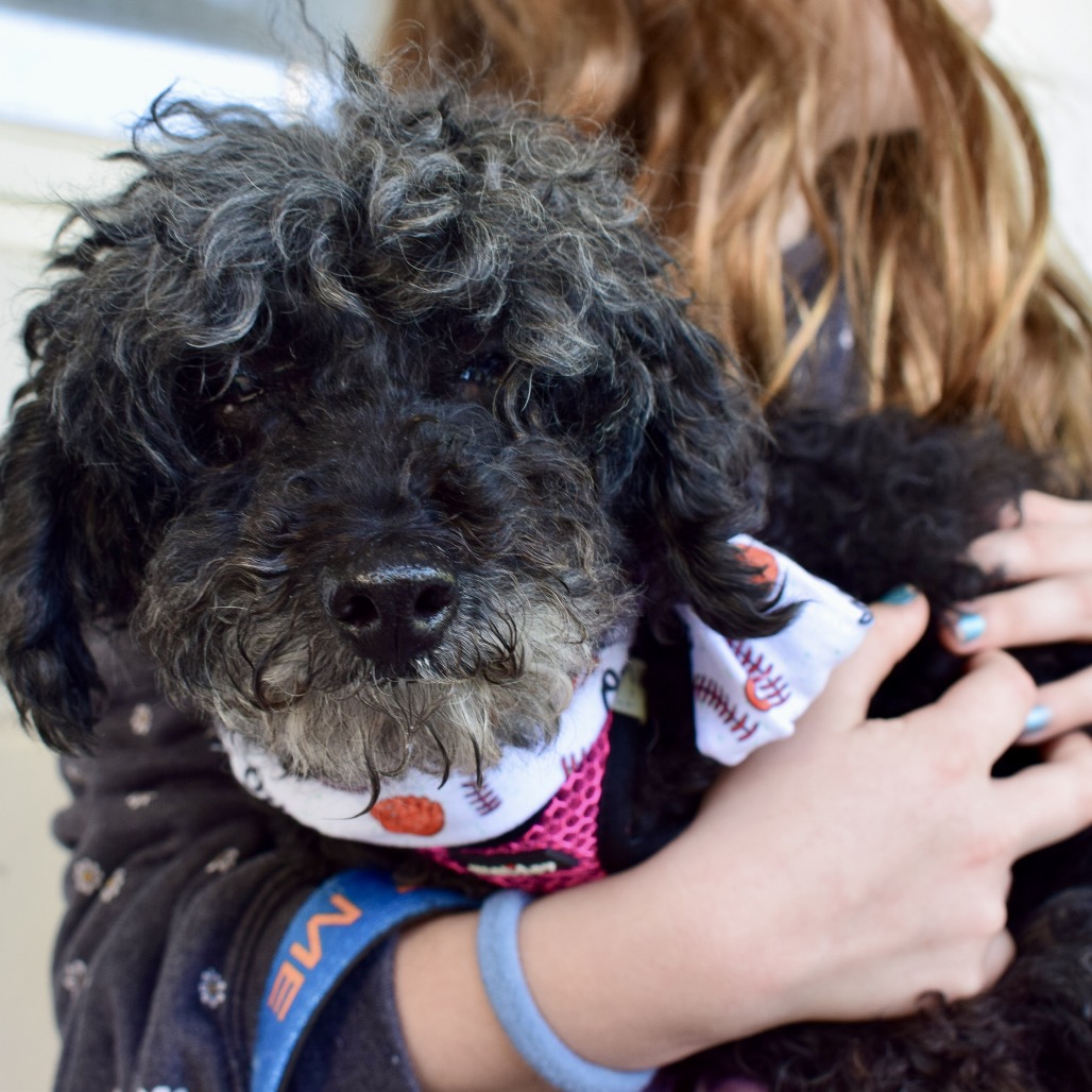 Willow (Whoopie), photo 23
