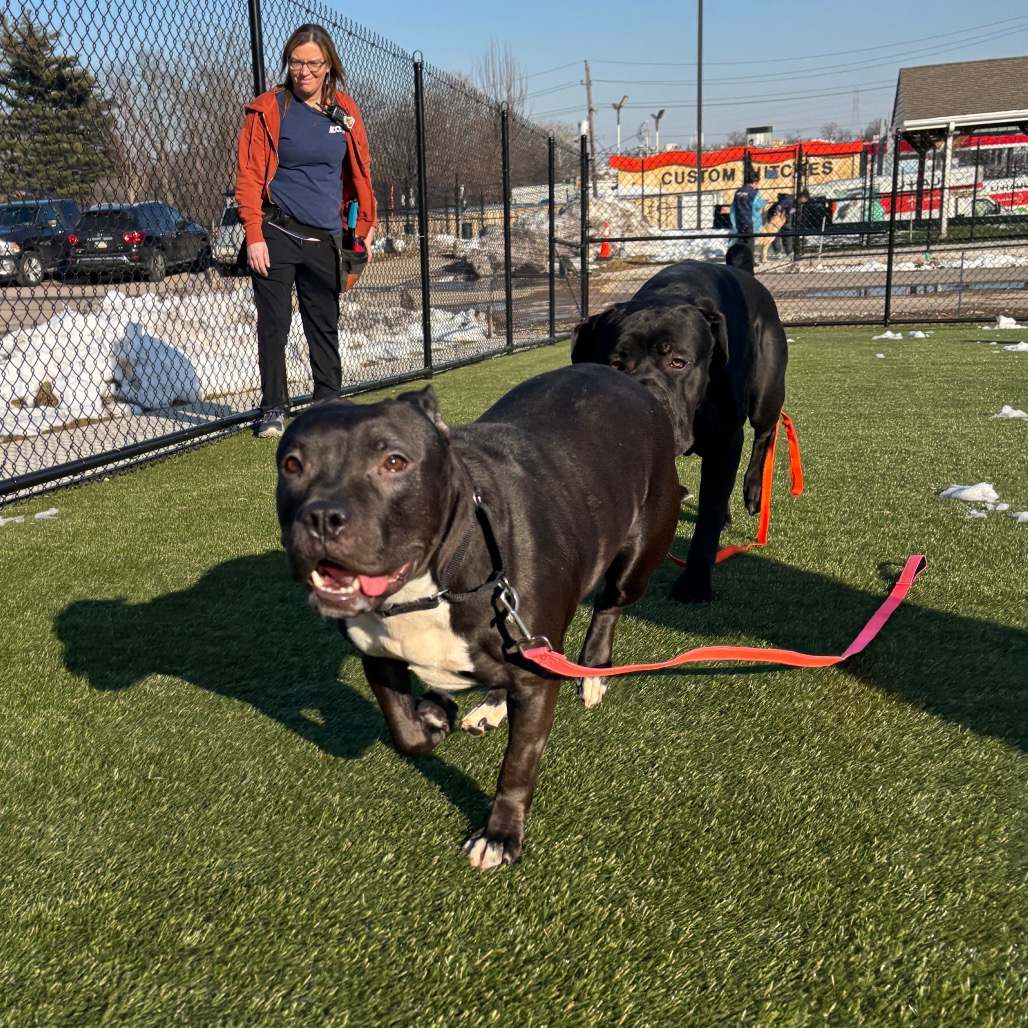 Aliah — thumbnail 2