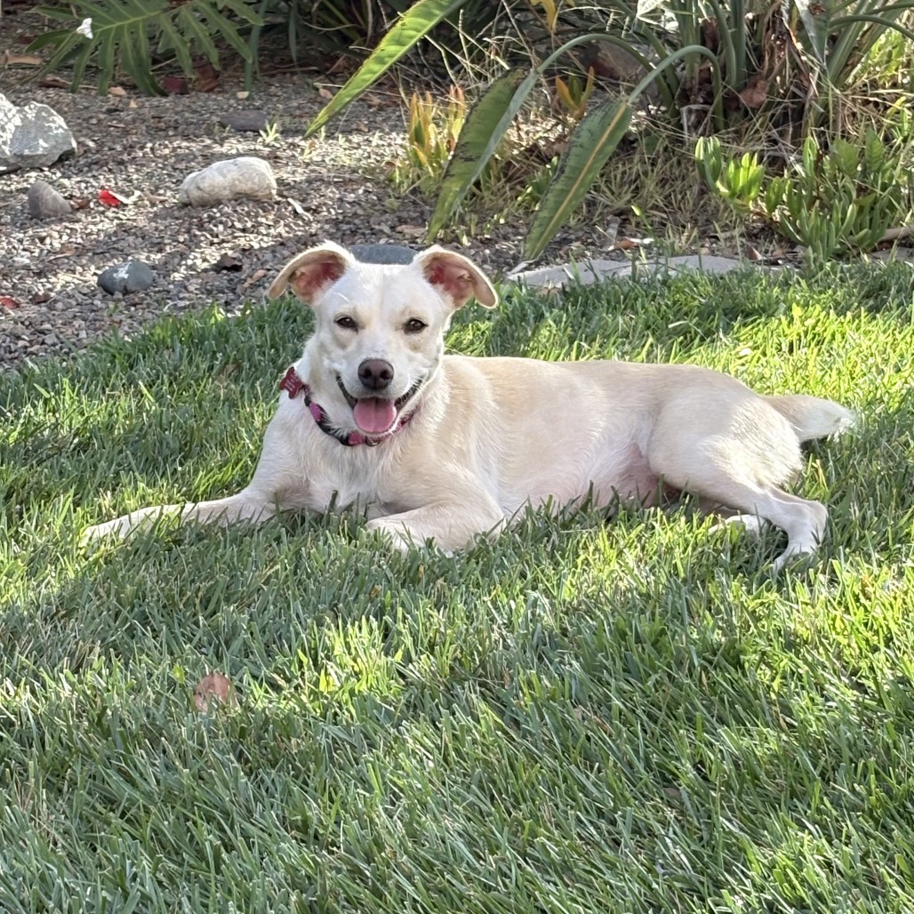 June, photo 14
