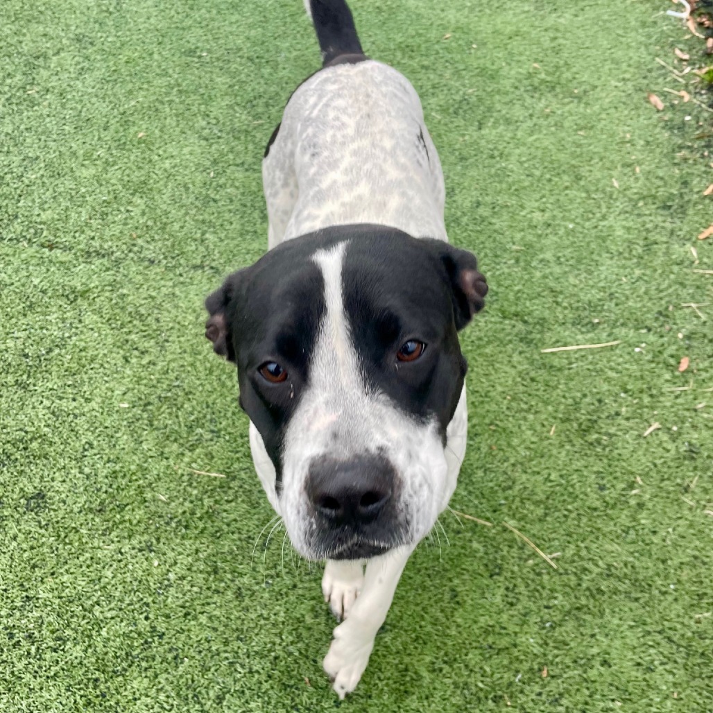 Wendy — thumbnail 5