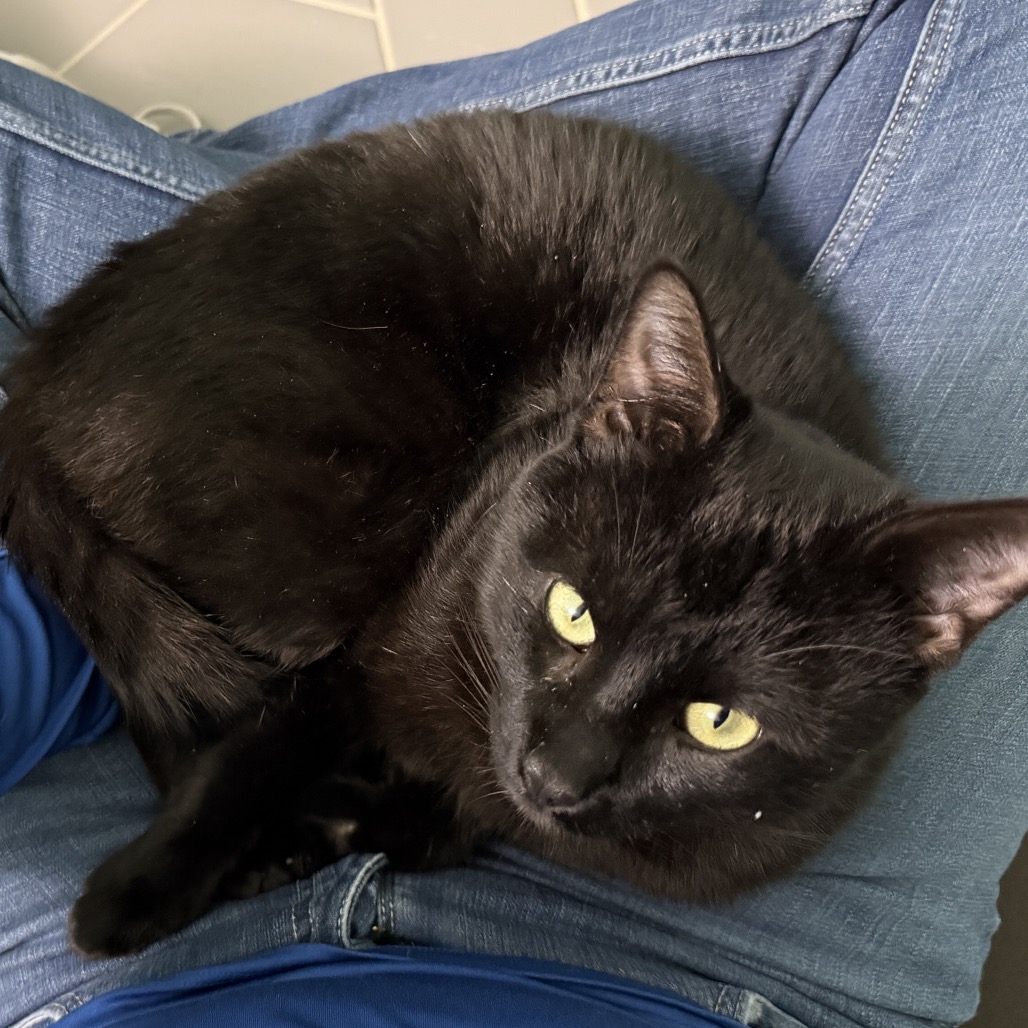 Haiku — thumbnail 3