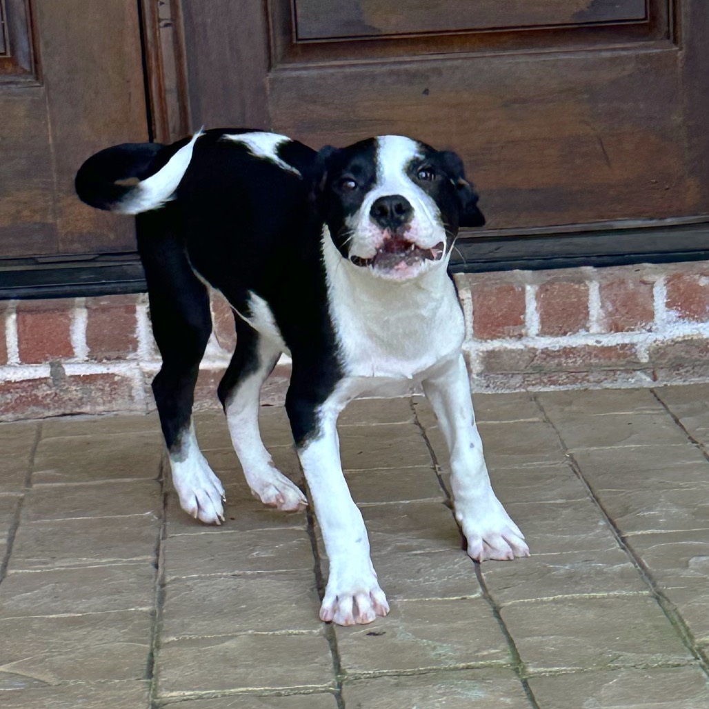 Larry — thumbnail 4