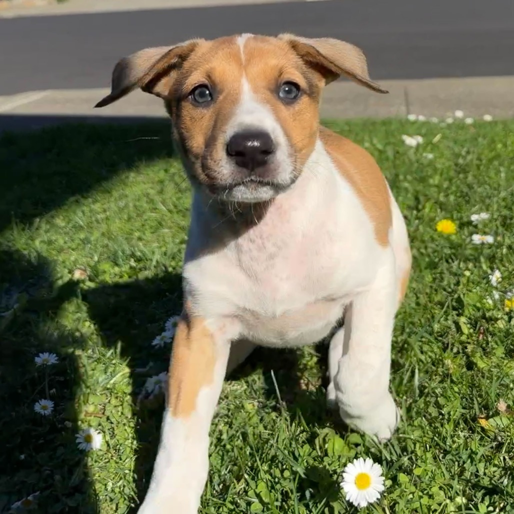 January — thumbnail 3