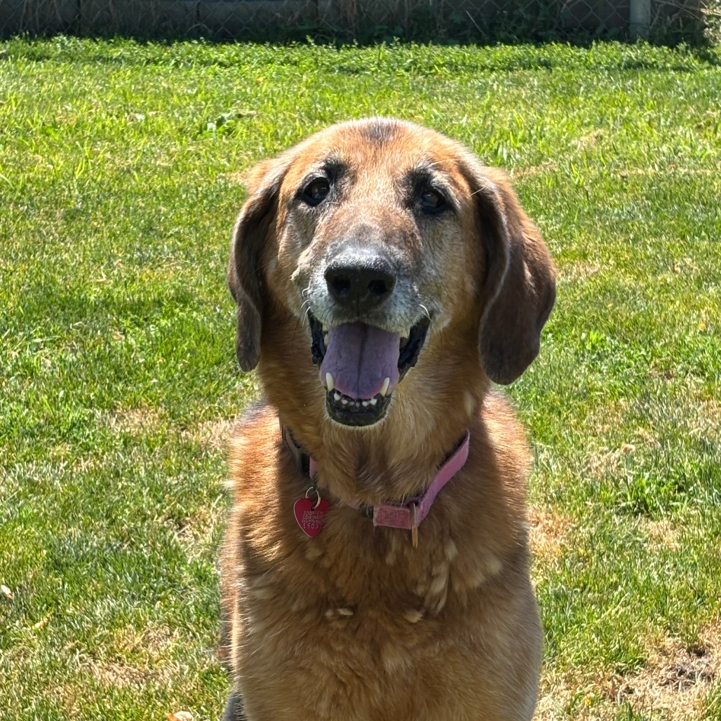 Greta, photo 2