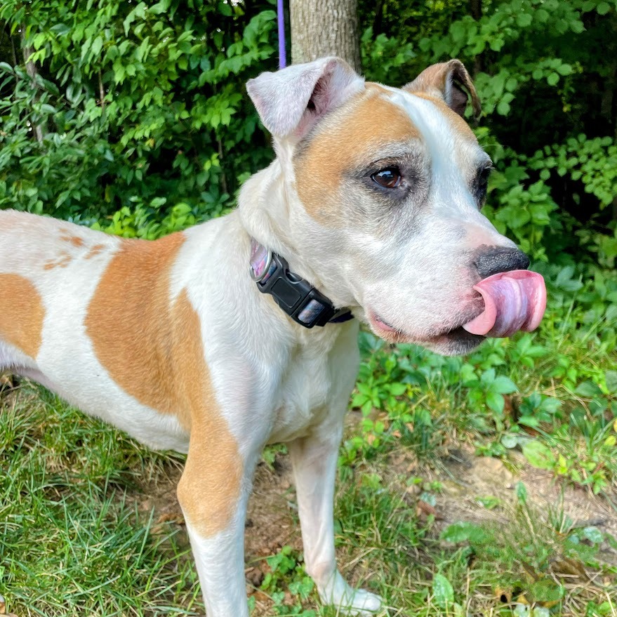 Ol' Lady — thumbnail 5