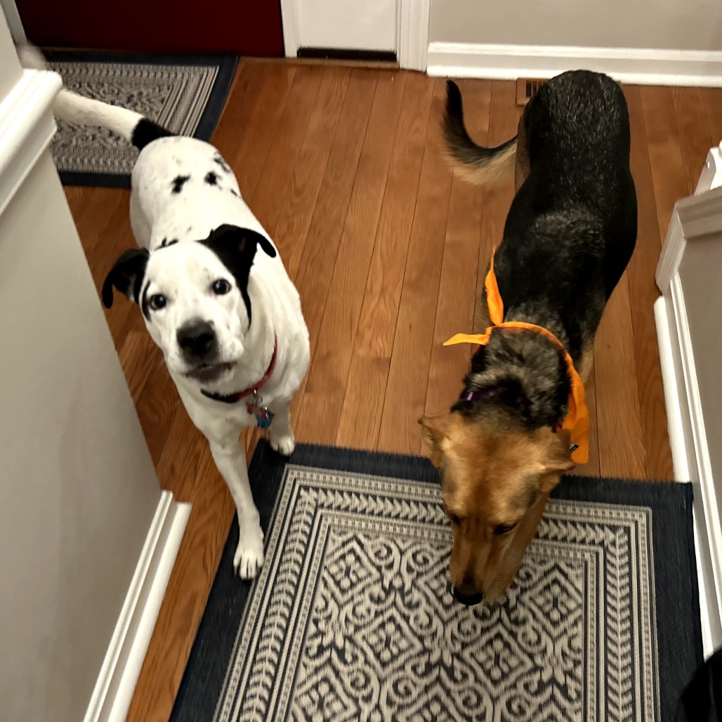 Lucy — thumbnail 3