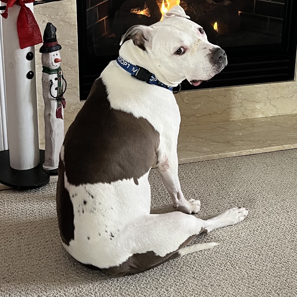 3d318006e47e71e247cf0d720cfdacfb