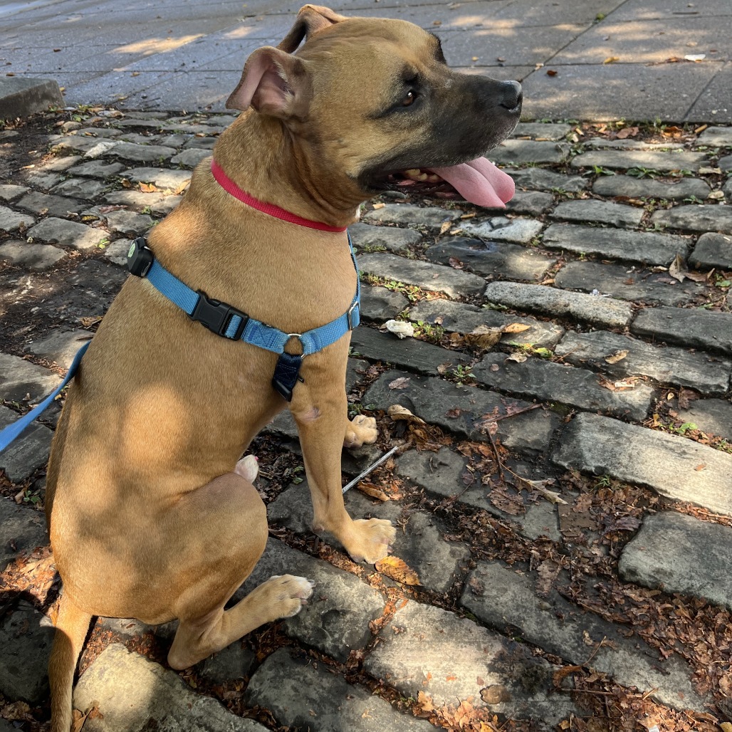 Photo of Chief 25