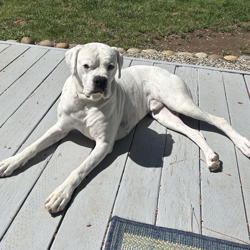 GRAYSON, photo 13
