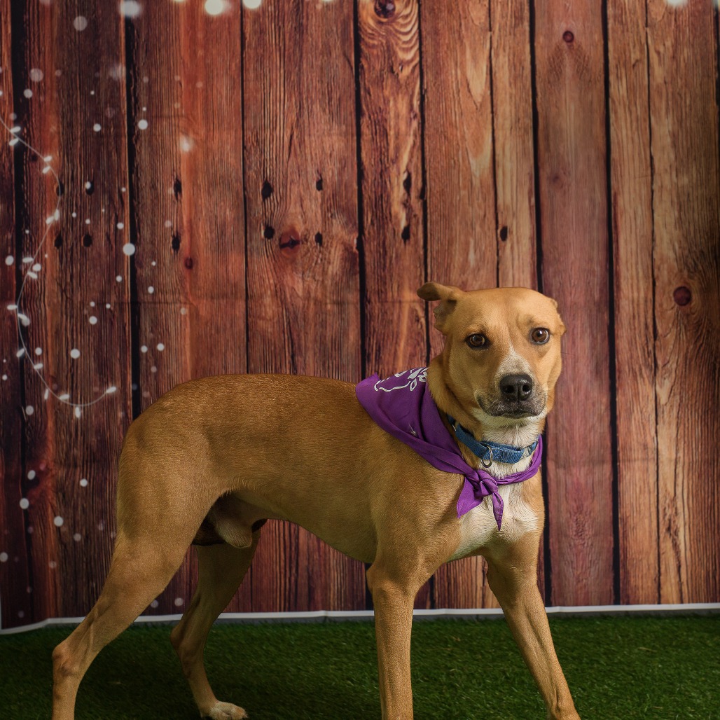Photo of Cash