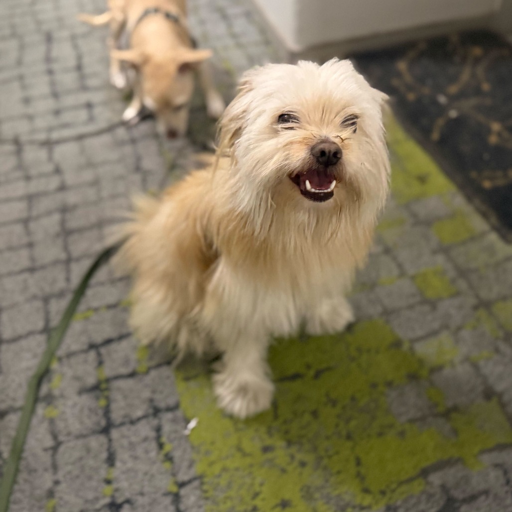 Barnaby — thumbnail 3