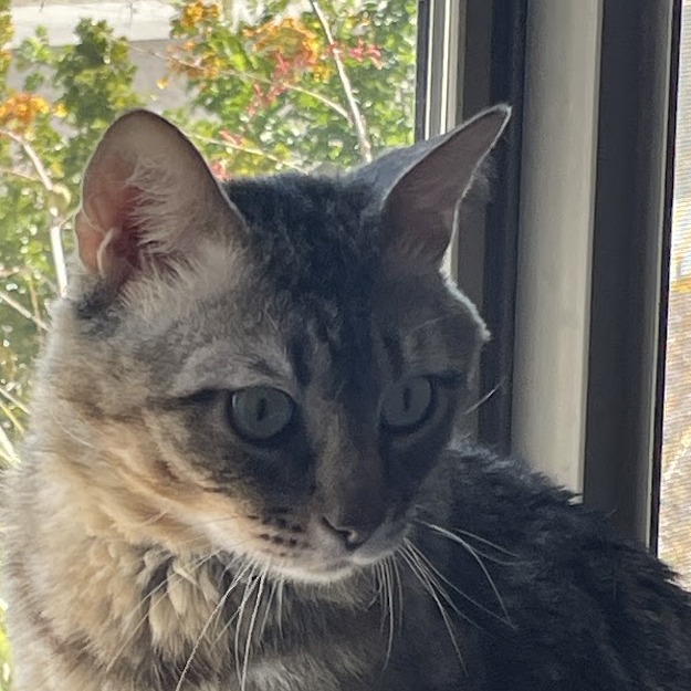Vinnie