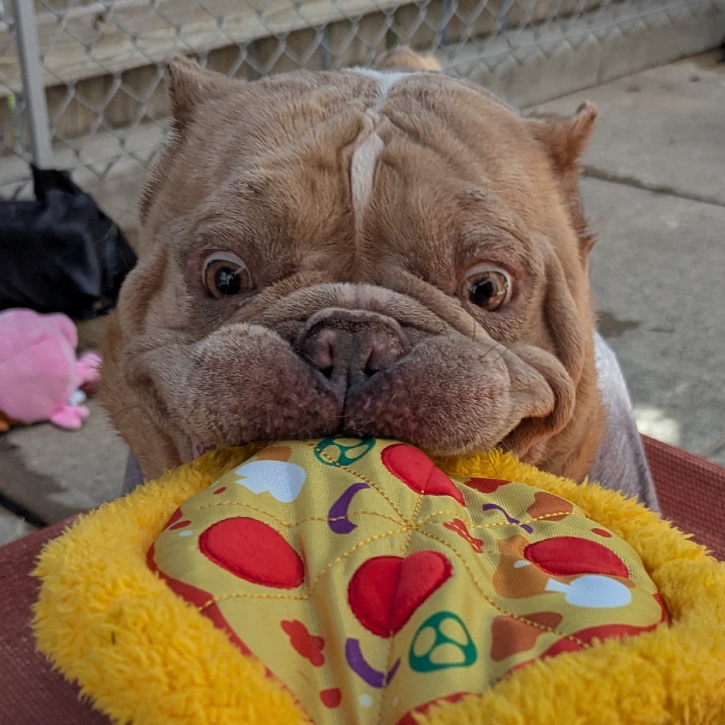 Photo of Pizza Man