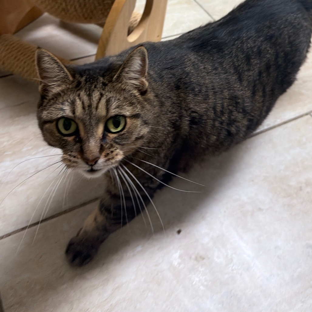 Penelope, photo 13