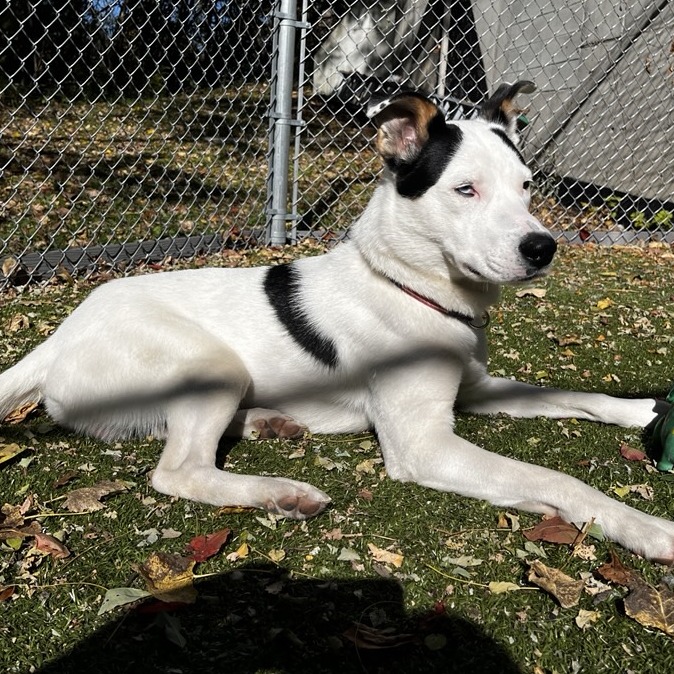 Enoch, photo 7