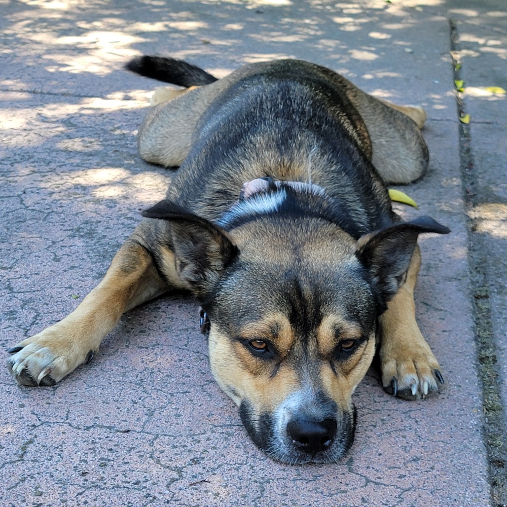 MIA, photo 2