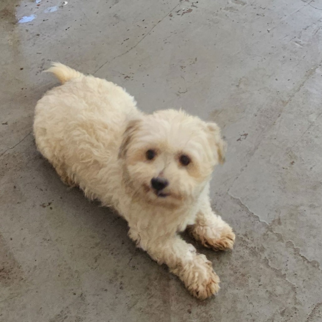 SANDERS — thumbnail 5