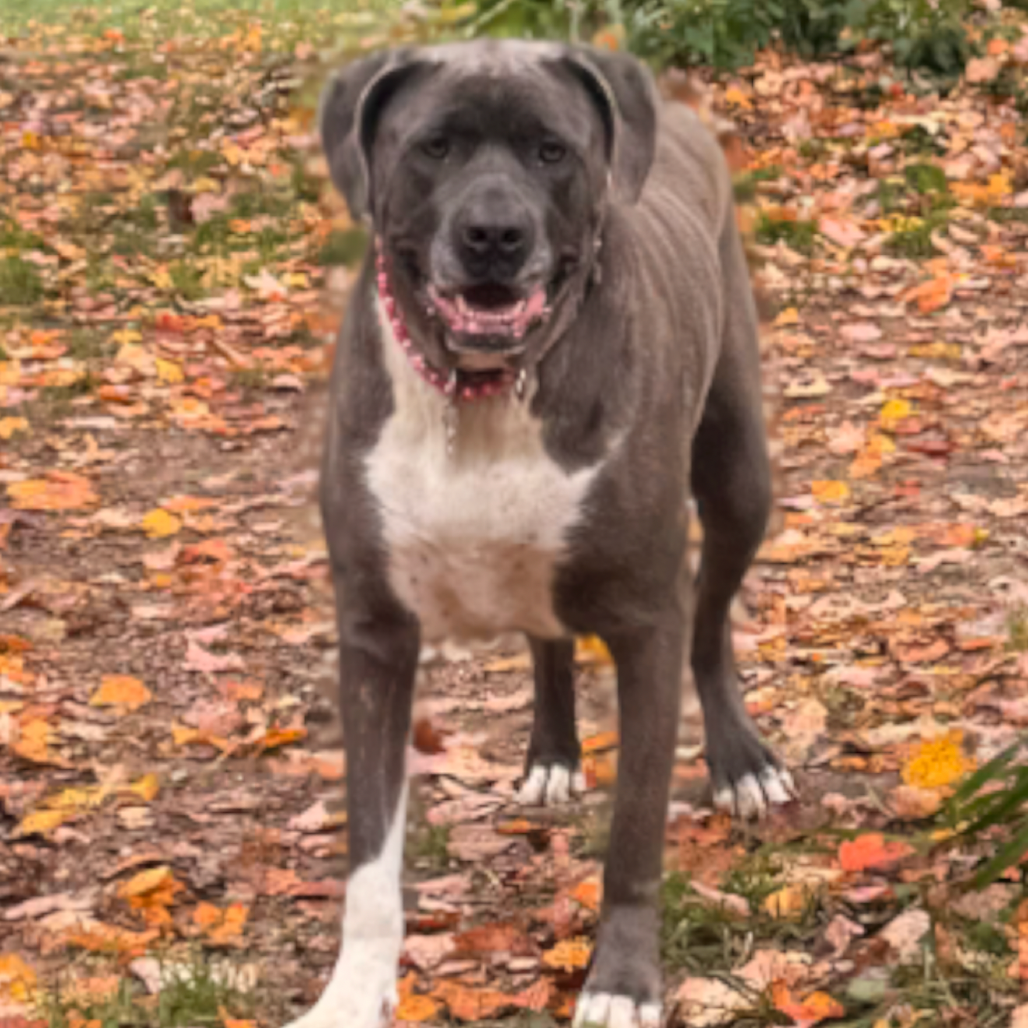Big Luna, photo 28