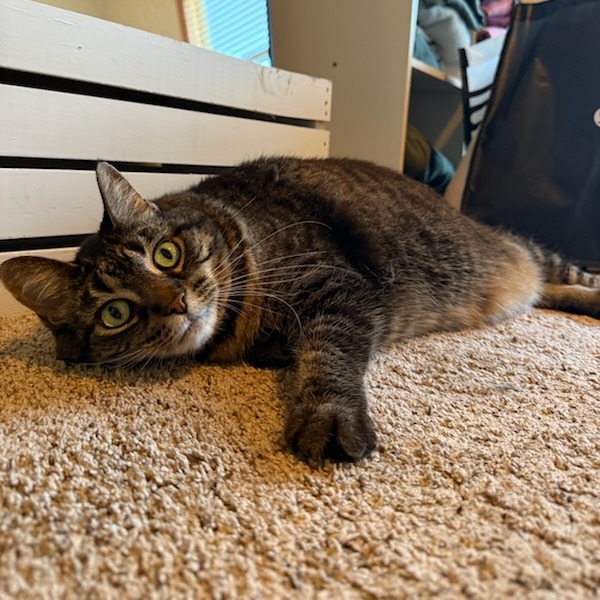 Presley--In Foster, photo 4