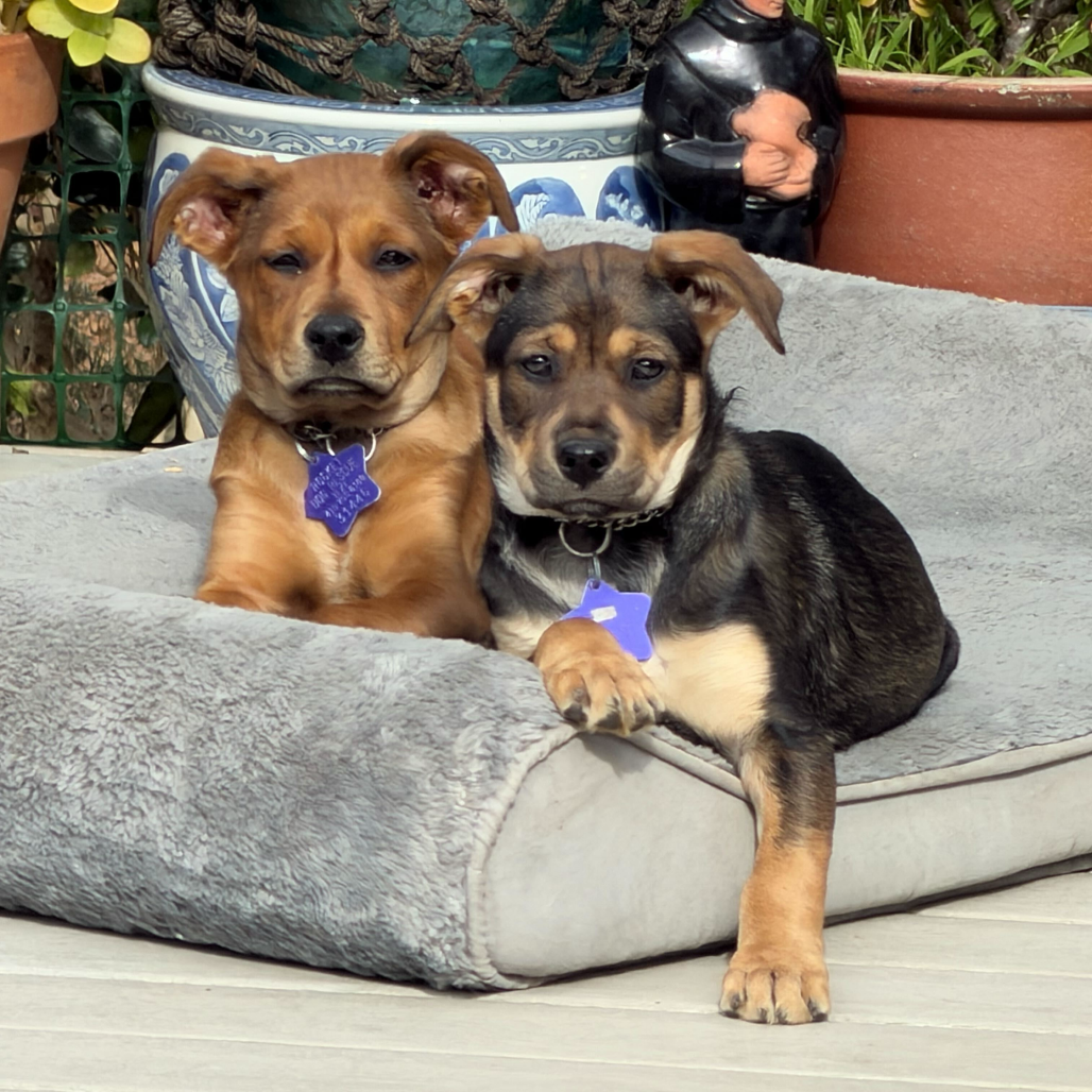 Doris — thumbnail 3