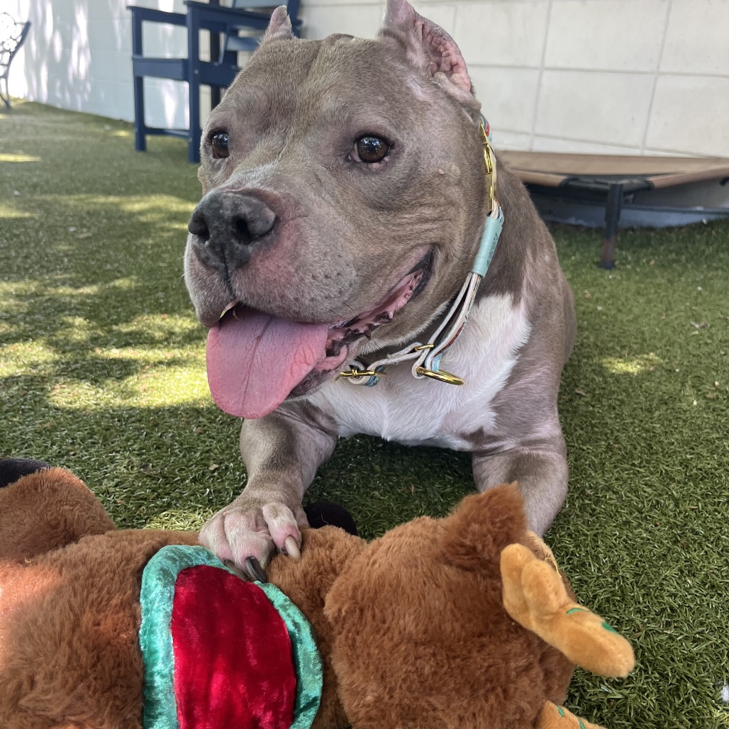 Zeus, additional photo