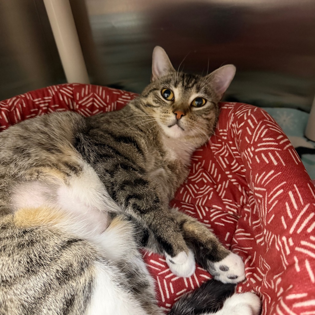 Mavi — thumbnail 3