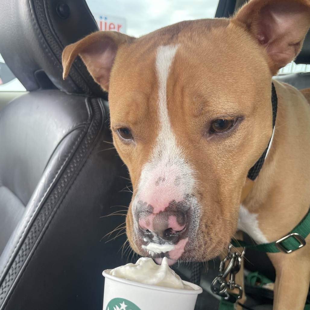 Milo