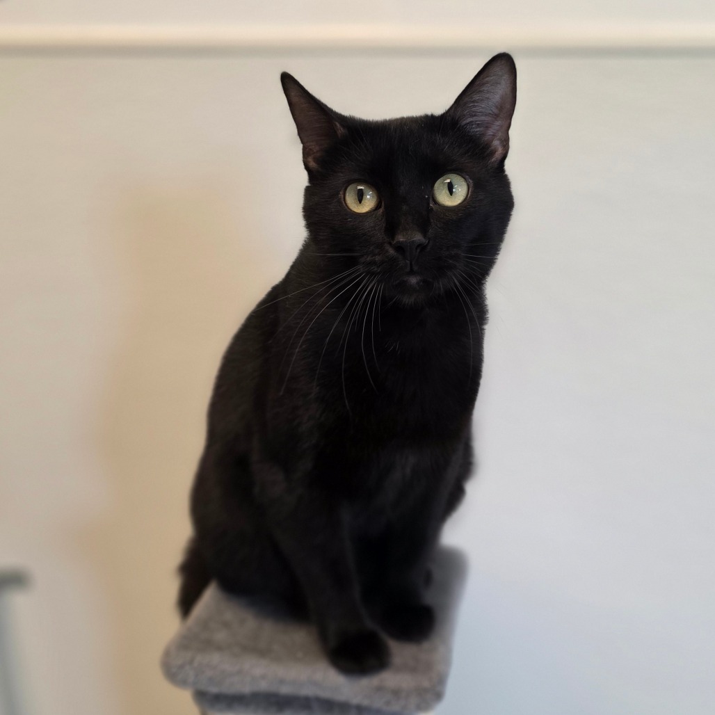 Binxy