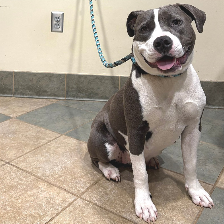 Luna Moon — thumbnail 11