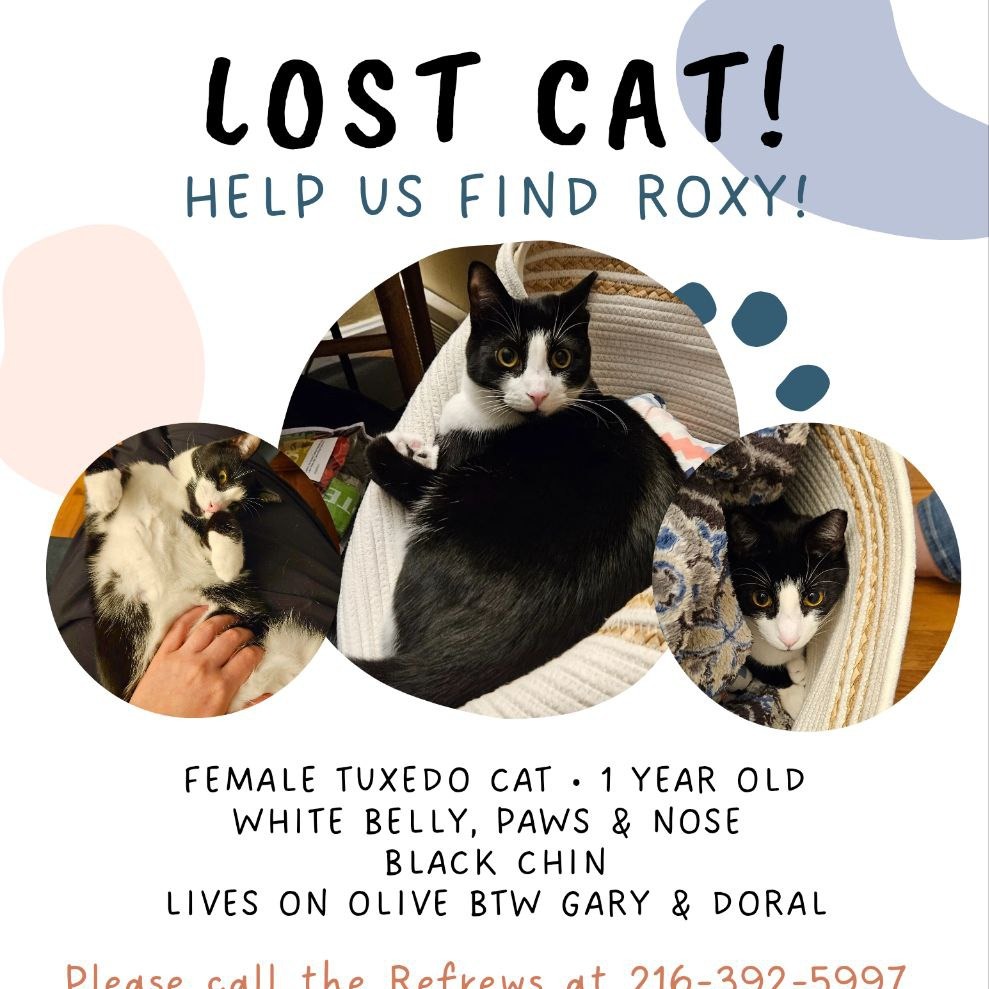 Photo of Roxy