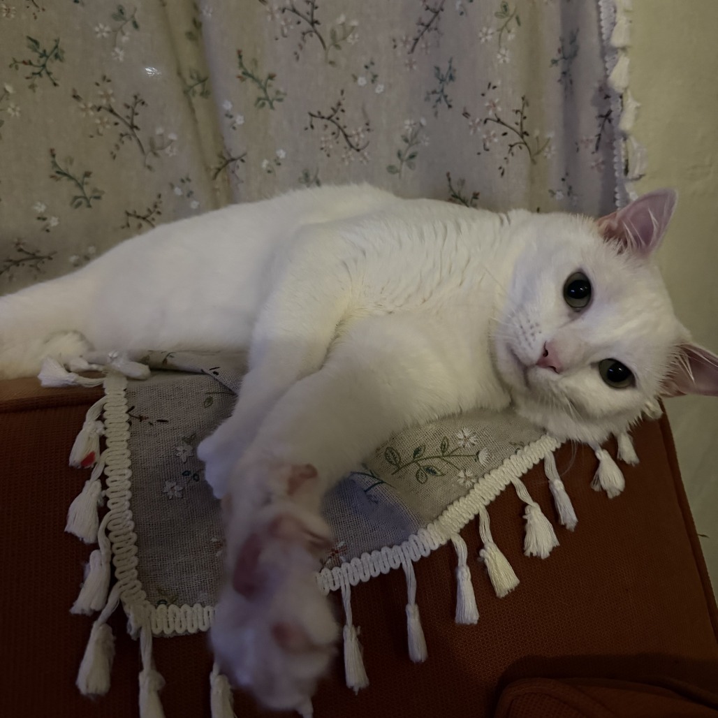 Casper