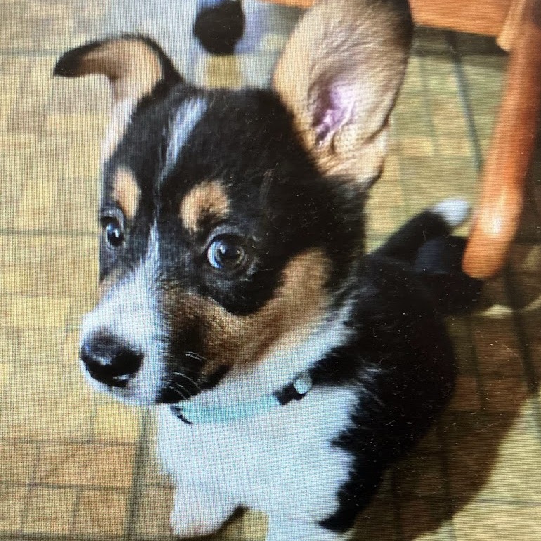 Roxie